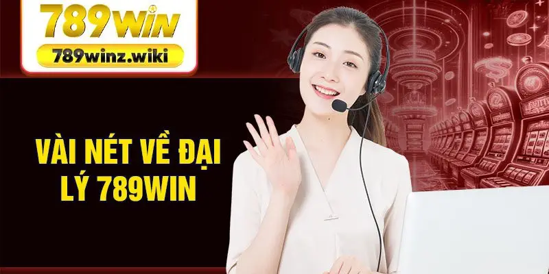 Vài nét về đại lý 789win