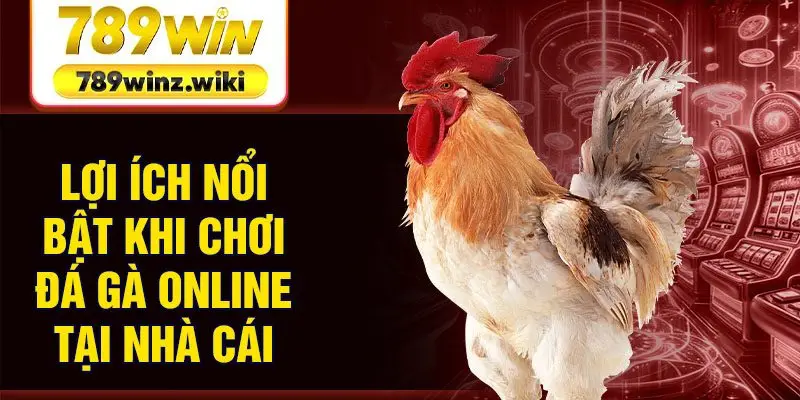 Lợi ích nổi bật khi chơi đá gà online tại nhà cái