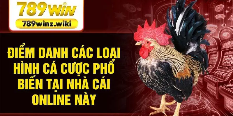 Điểm danh các loại hình cá cược phổ biến tại nhà cái online này