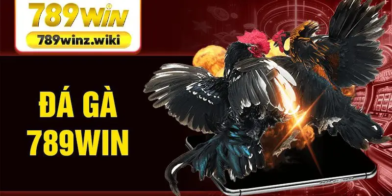 đá gà 789Win