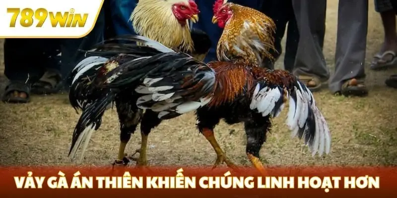 Vảy gà án thiên khiến chúng linh hoạt hơn